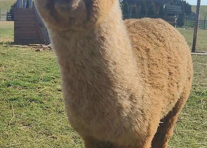 Osada Dom wakacyjny *